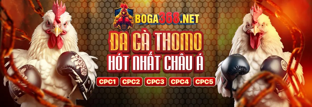 Chào mừng đến với Socvip Link Vào 2026